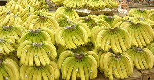 7d01f896b10a6c22db97dbbc11eb20904