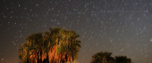The Annual Perseid Meteor Shower Offers Celestial Show In Night Sky