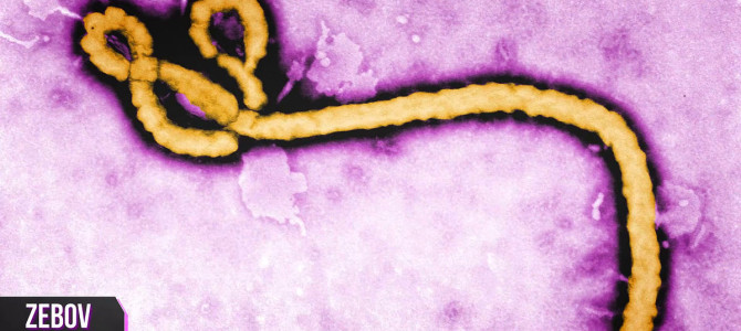 【衝撃の真実】エボラウイルス報道の裏に恐怖の陰謀が！？！？