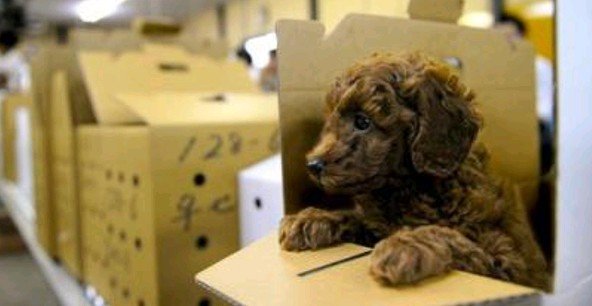 2014y12m07d_221813060