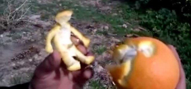 ちょっとエッチなオレンジのむき方♡