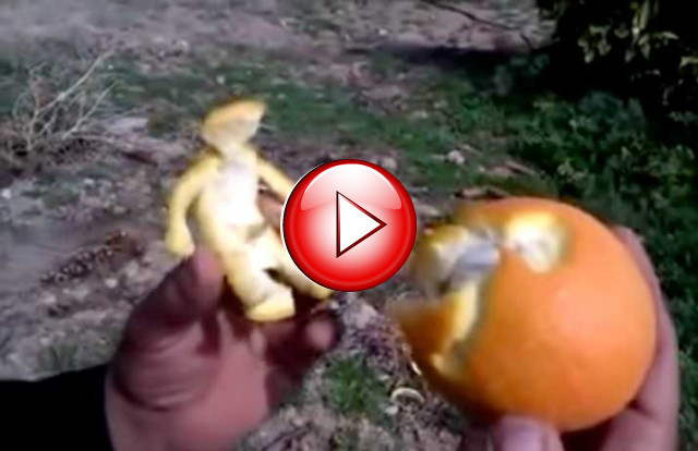 7d0665438e81d8eceb98c1e31fca80c1-640x414