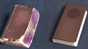 【職人技】ボロボロの辞書が新品同様に！古本の修理屋さんの職人技！！