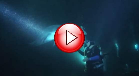 asdasdadadadaddasad-300x165