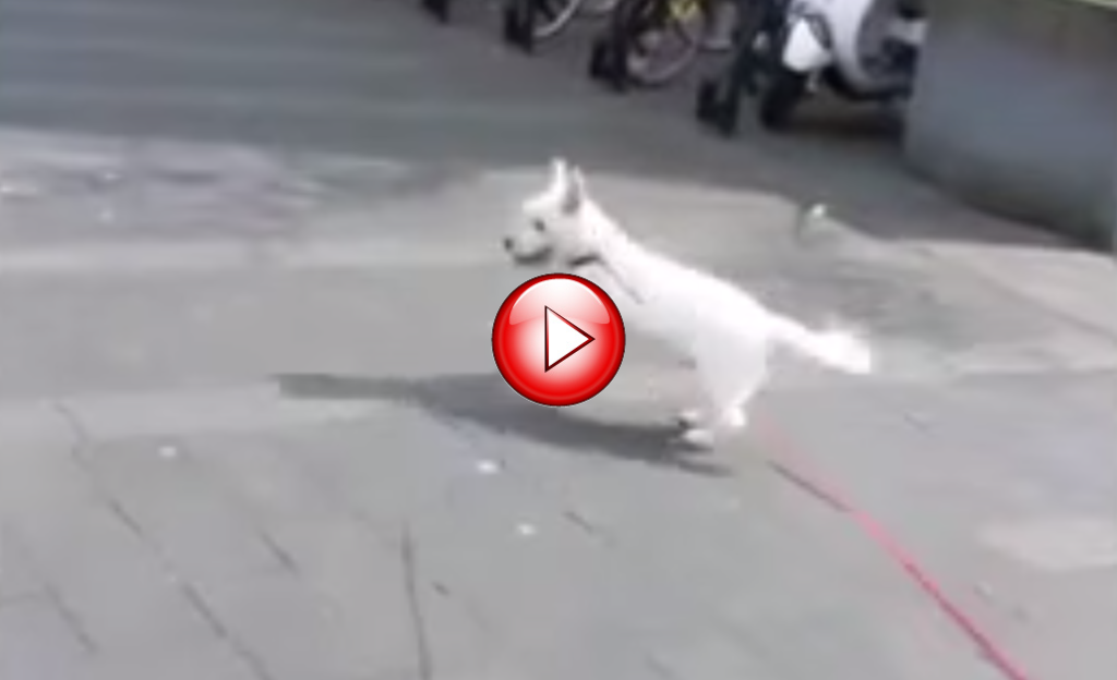 56b942c463f27e4128b0f8eeb433cf79