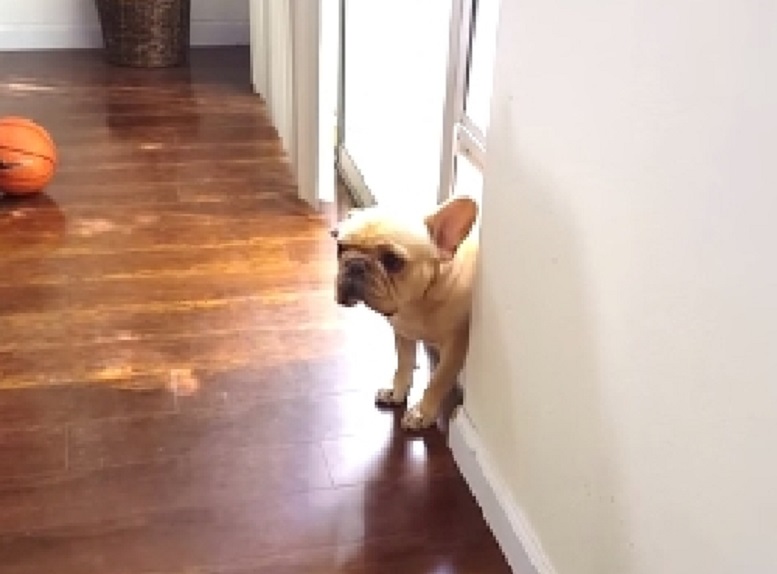 6aea2a23181909692f54ecba958f6672