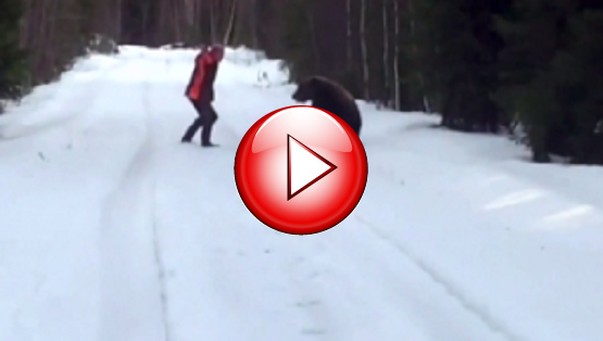 asdasdasdadadadad-300x170