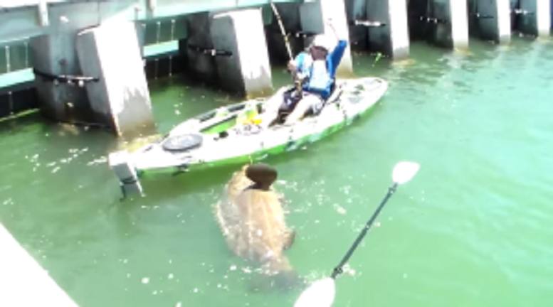 fsdfsdfsfsfsfs-300x167