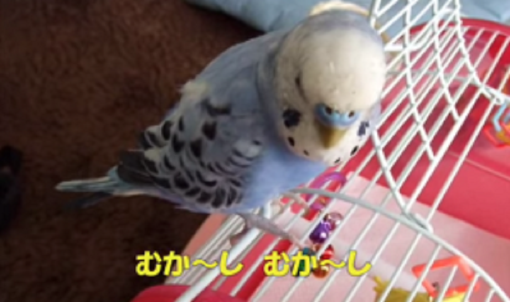 29fd5c00b01e24f408d758072c4b0cba-300x178