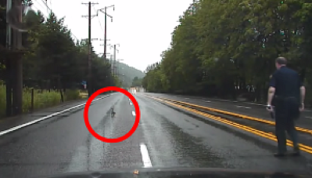 2b3d4feabbb8437f85cf8fad2e54dbf8-300x171