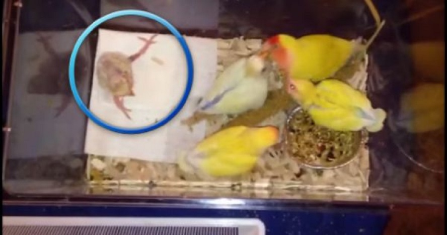 4e8246ae3be5a7725eb1fb756c5aeb16