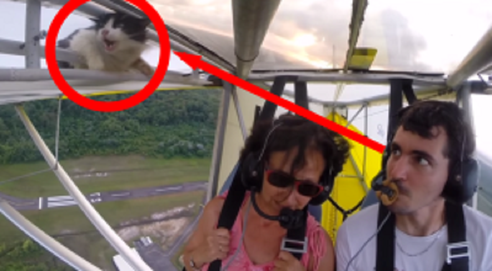 6a9279106bc2c4d91d676925ac5d56c0-300x166