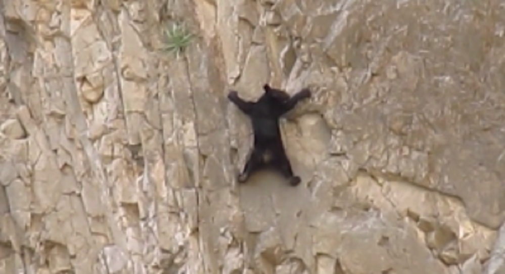 9bd4a7a3f58642c49417cce543e99ee1-300x163