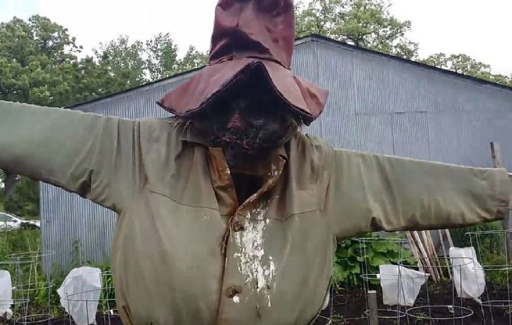Scarecrow