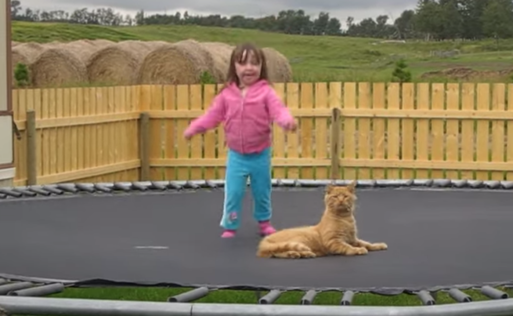 a5937ccb8323364f4b951b4d5a6999d8