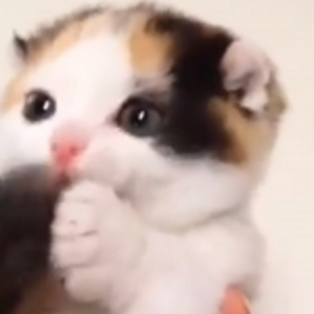 a88d3b58caf75209d117-150x150