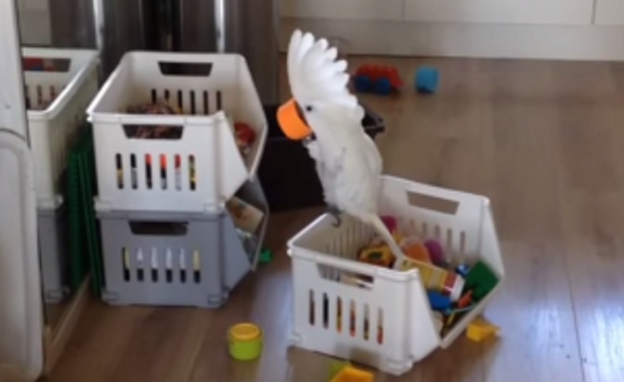 d8b8d5d1fcb9ca409a3c6cfbf7eb0c75-300x184