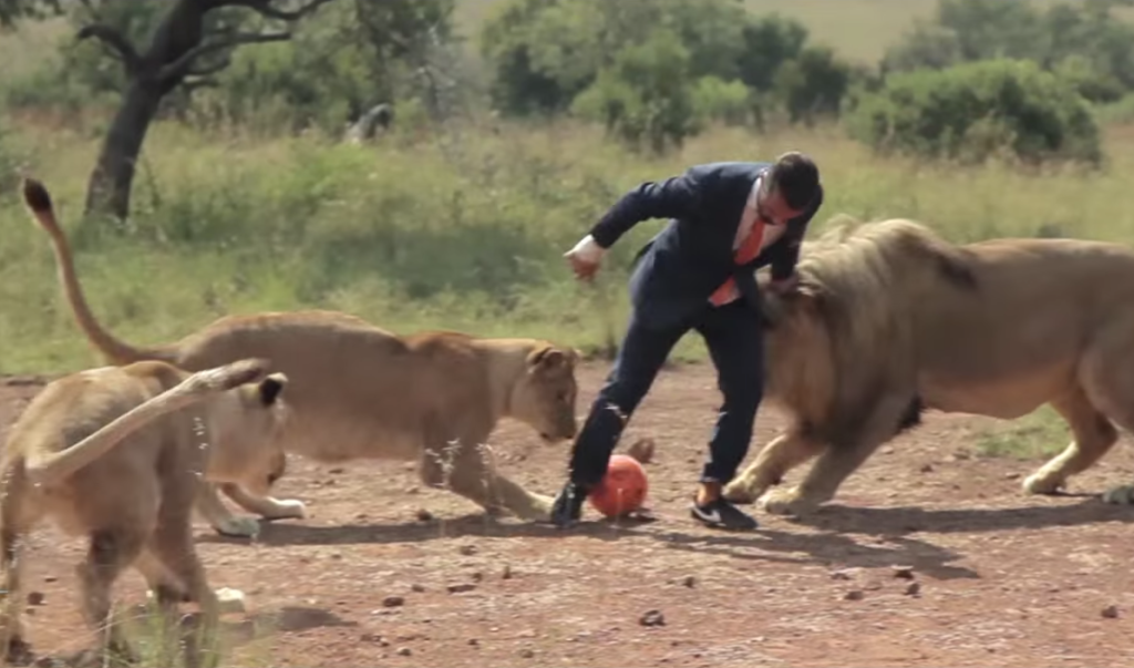 dsfdsfdsfsfsfsfsfs-1024x603