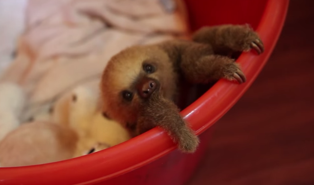 f13e17399298cf58011a132b5817be59-1024x602