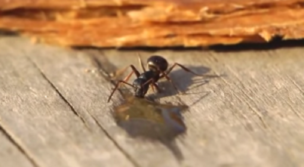 sdfsdfsfsdfdsfsfds-300x165