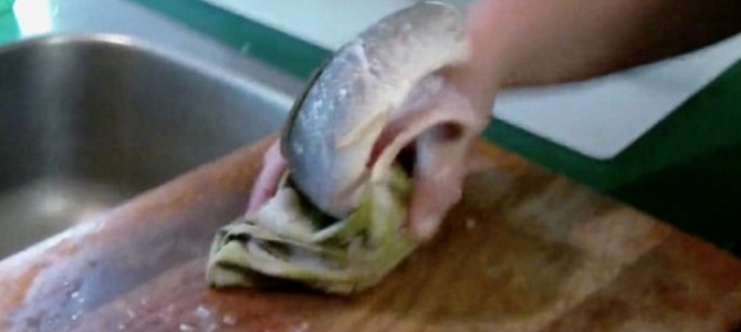 頭と内臓がないのに「切り身」が大暴れ！これには熟練の主婦もビックリ！