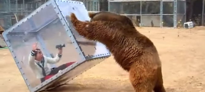 お笑い芸人のイモトさんが巨大ヒグマに襲われる映像がクレイジーだと海外で話題に！