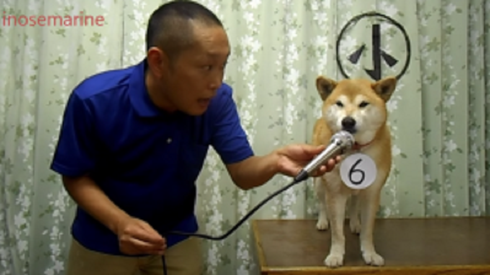 2366cee800b12b202b18bc4f166198de-300x169