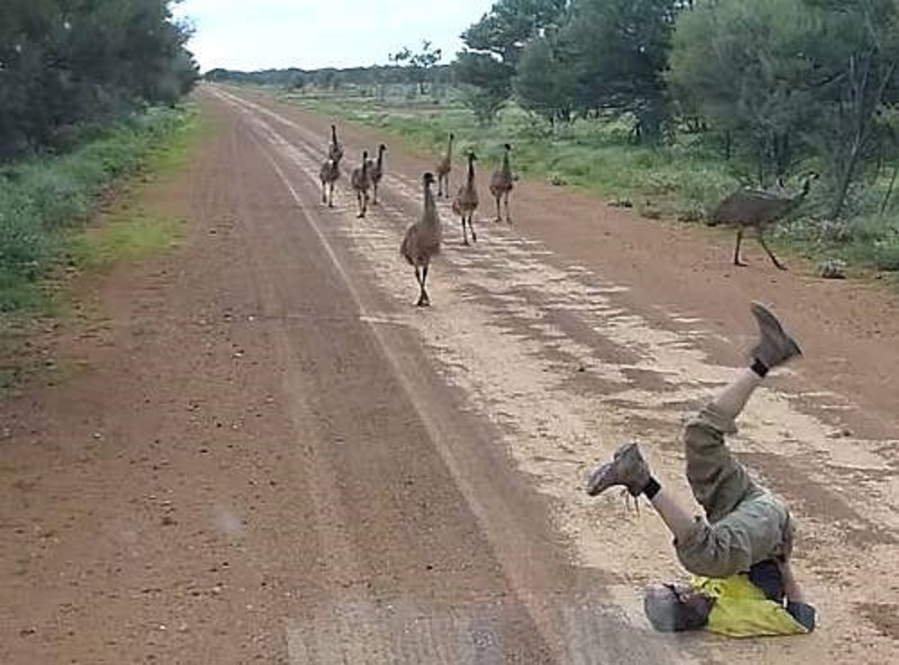 371f50baa727eb703126c3a77d853e27_content