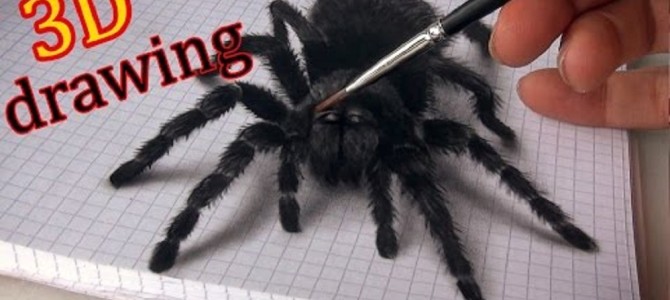 3Dに見えるクモの絵がリアル過ぎる！