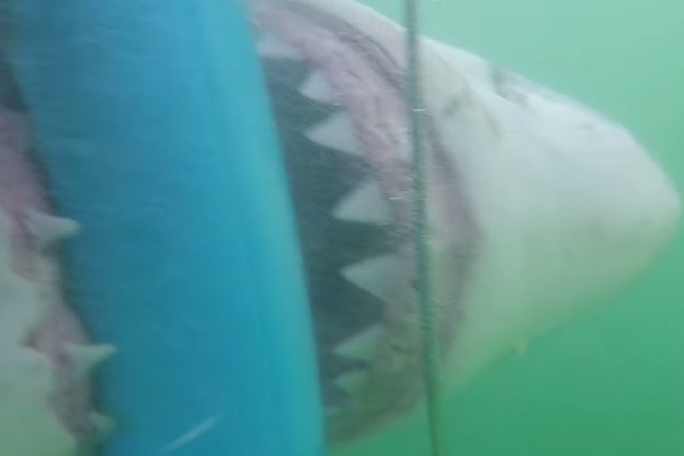 3f98c87f03826666452faa6351038213-640x427