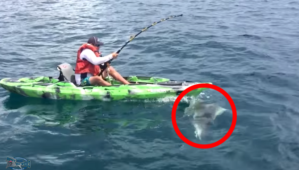 5efd38fcf42f216d49c1da59c90adc3b