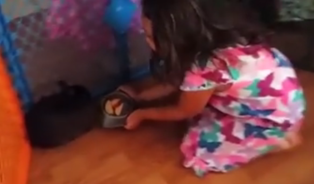 763c5dec79bcf4f6d9e38d8f7f9b5538