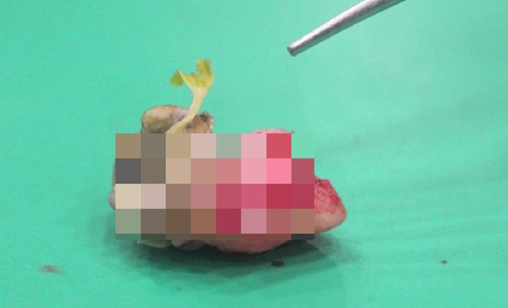 7f705d0873e8450a793ab265bf156eef