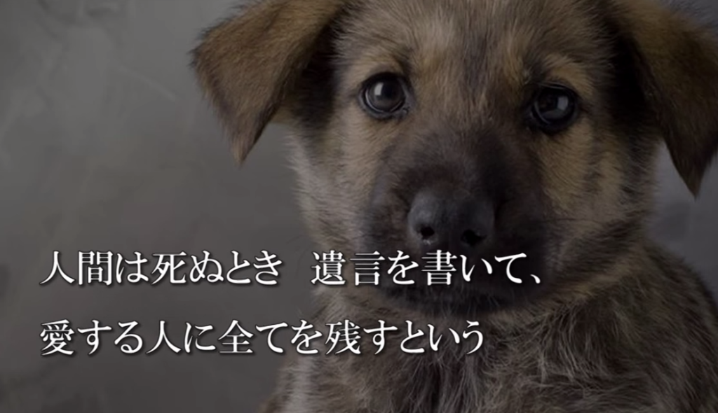 875a99c30eb5fc52e3ffc8851bbd2c57-1024x590