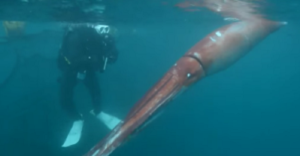 88a60b614409d519f71eaca5e13801b2-300x157