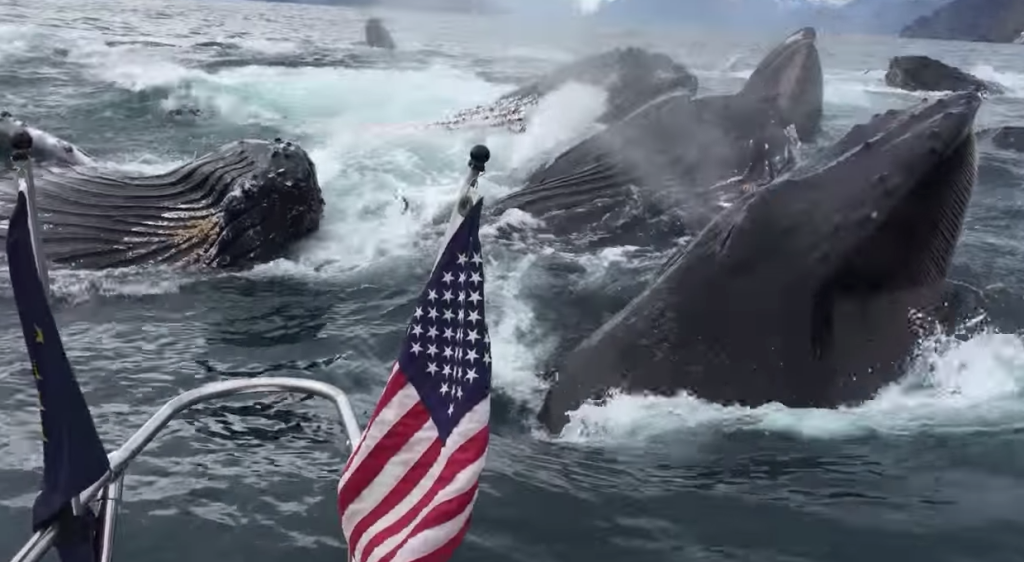 948bc55e09a36af5a5dd12bc722c9861-1024x562