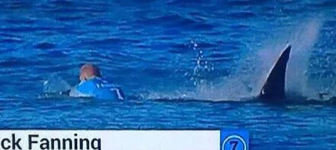 サーフィン大会の生放送中プロサーファーがサメに襲われるも、奇跡的に生還！緊迫の一部始終！！