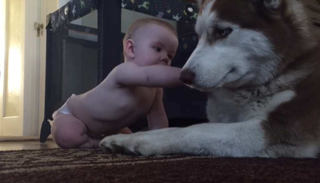 a109f98921b17e7da0b2c540a1daba9b-1024x587