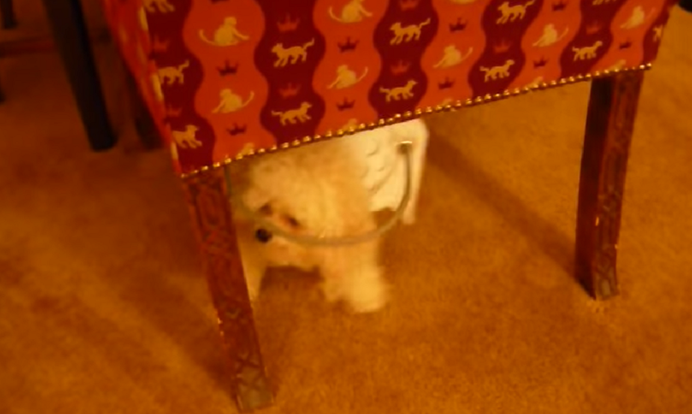 a2e4e4258c36b8cadba04c935c168b82