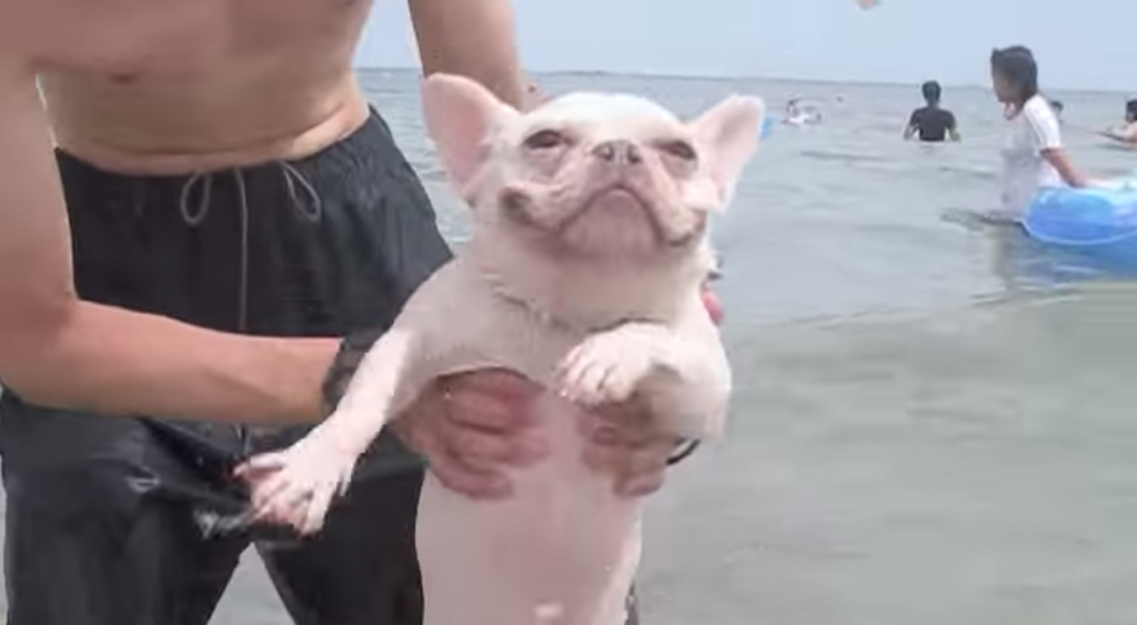 fsdfsdfsdfsdfsfsdfs-1024x563