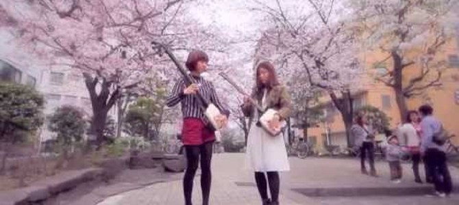 これぞ「和」ガール！桜満開の下、三味線ガールズのする演奏が超カッコイイ！