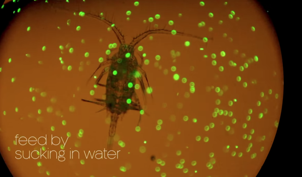 328627c9d5eb47ab313b7baf6862bad5