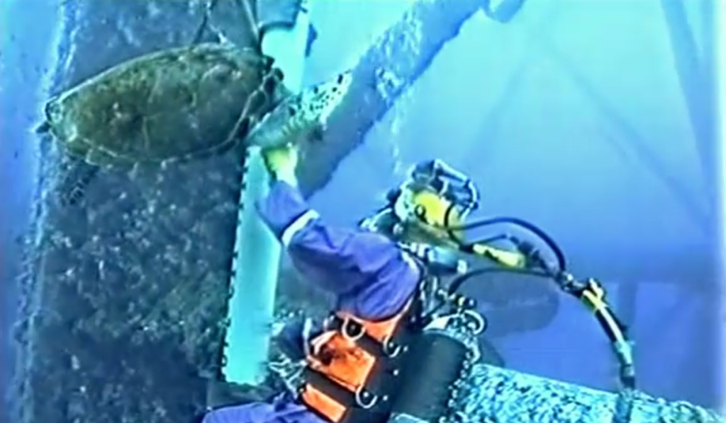 6b3cf177745e9a894620f5113b405023