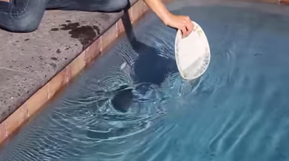 235979960-origin-1418701797