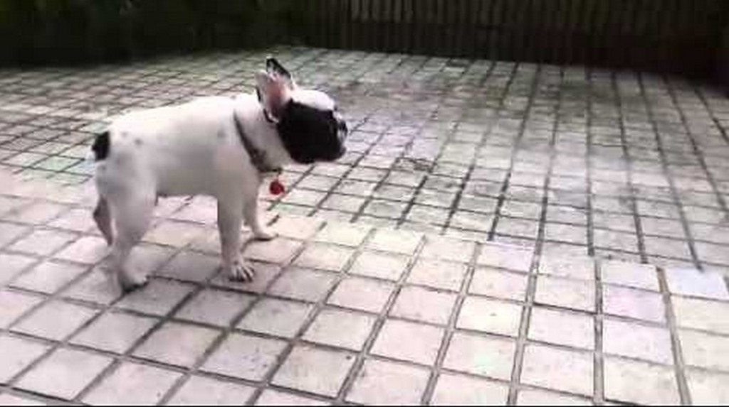 265aee7d33d30671fb0eca56868911dd