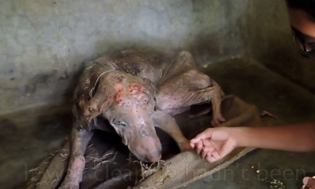 8dcd3e7cefca5bc372b0fc591a34f3ed