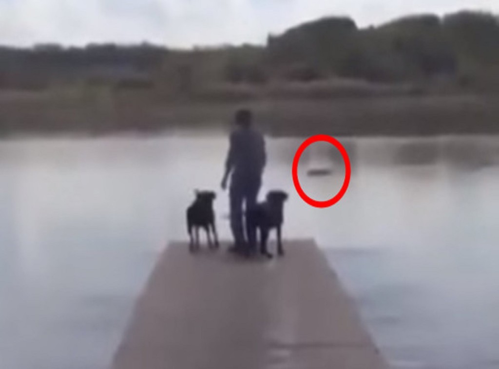 04b222d46de541249c55d21c3d3cd8fe-600x354