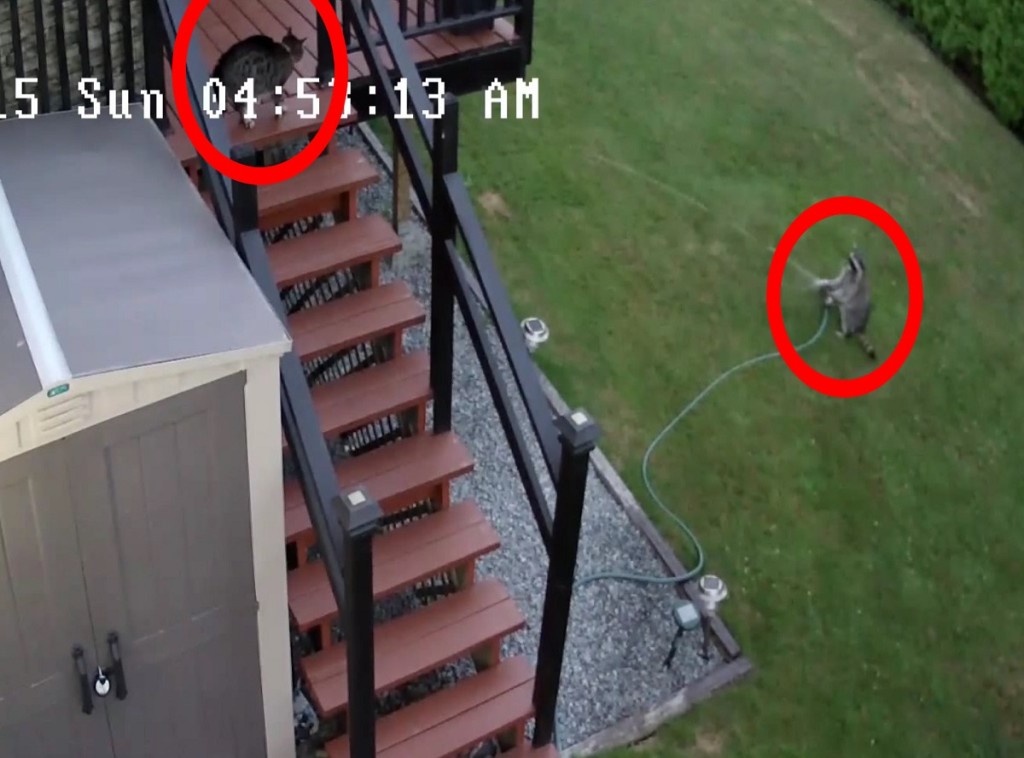 1fe198b408c5fe0a38fbee8aa38b70541