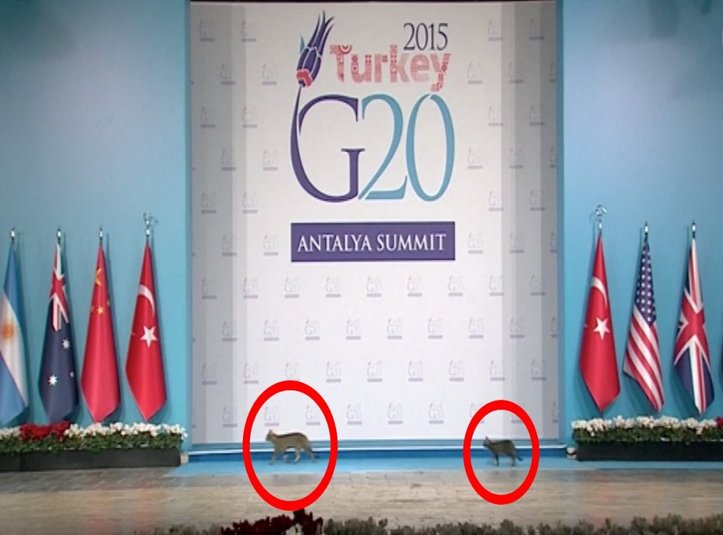 28c6fa6fbb8dd973bdcbd1af25668ecc