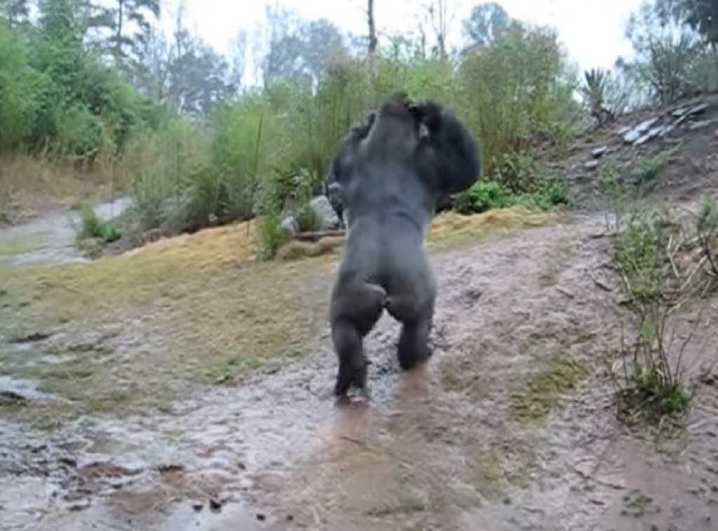 590120fa17636d62a5dd11ad6ea79dcf